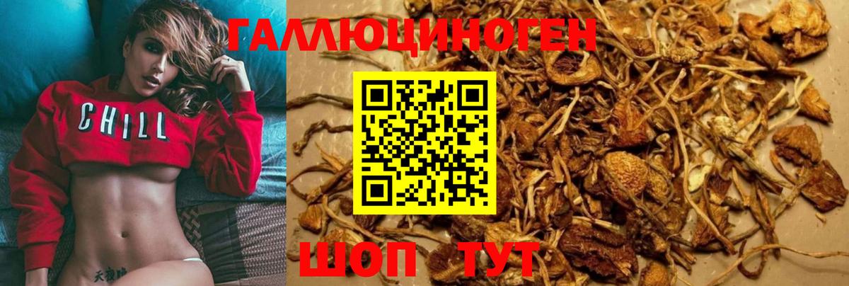 Галлюциногенные грибы Cubensis Жуковский