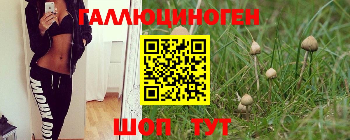 Галлюциногенные грибы мухоморы  Вход с VPN  Жуковский 